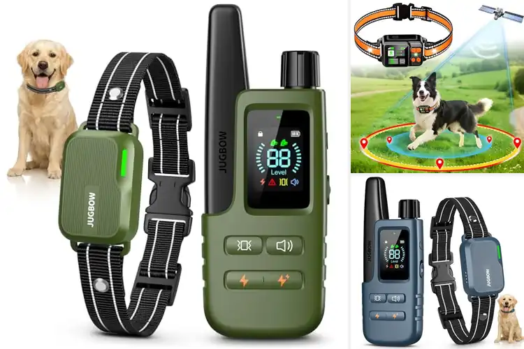 Detailed view of Best Adjustable Electric Collars for Safe Dog Training