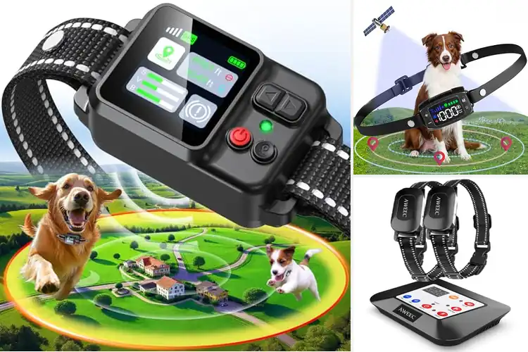 Detailed view of Best Adjustable Range Boundary: Safe, Free, and Happy Dogs