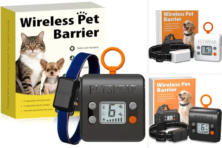 Detailed view of Best Adjustable Safe Static Intensity