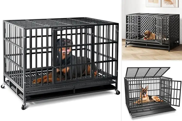 Detailed view of Best Anxiety Dog Crates: Secure, Durable, Calm Solutions