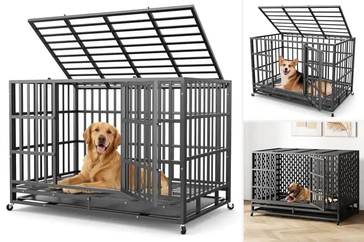 Detailed view of Best Carbon Steel Dog Cage For High Anxiety