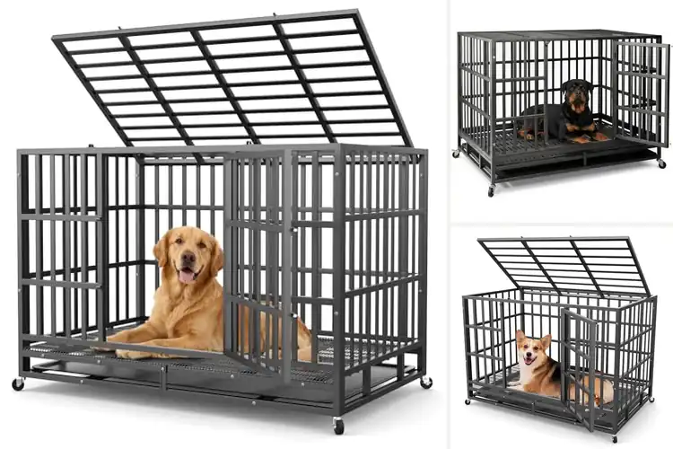 Detailed view of Best Carbon Steel Dog Cages