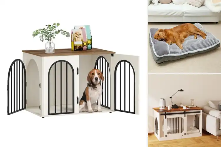 Detailed view of Best Comfortable Dog Kennels: Top 10 Cozy Picks for Your Pup