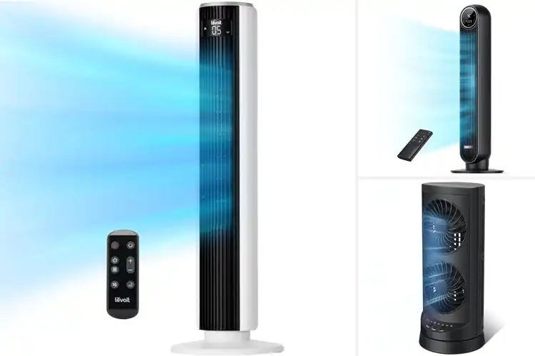 Detailed view of Best Cooling Fans