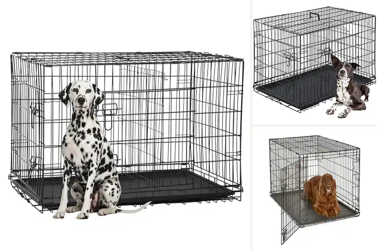 Detailed view of Best Crates For Large Dogs