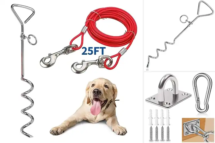 Detailed view of Best Dog Boundary Hooks: Secure Your Pet with Ease