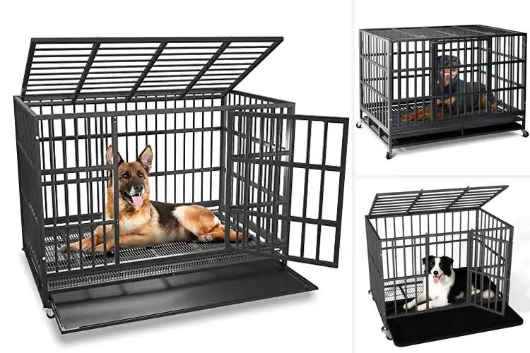 Detailed view of Best Dog Crates for Anxious Dogs: Top 10 Calming Havens