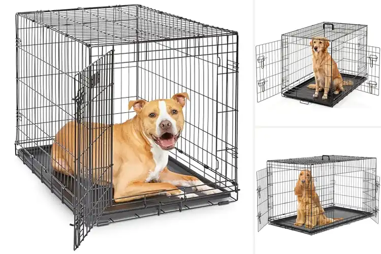 Detailed view of Best Dog Crates: Simple, Safe, and Cozy Choices for Your Pet