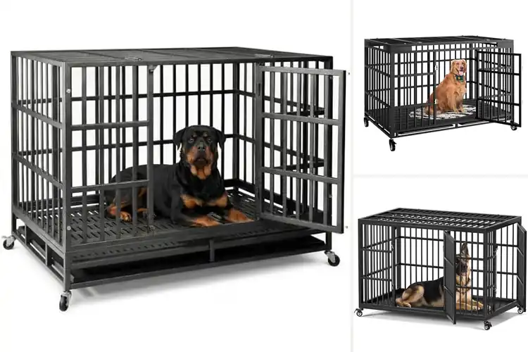 Detailed view of Best Dog Crates With Locking Wheels