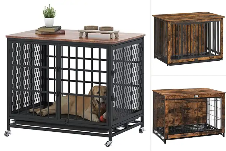 Detailed view of Best Dog Crates With Removable Trays