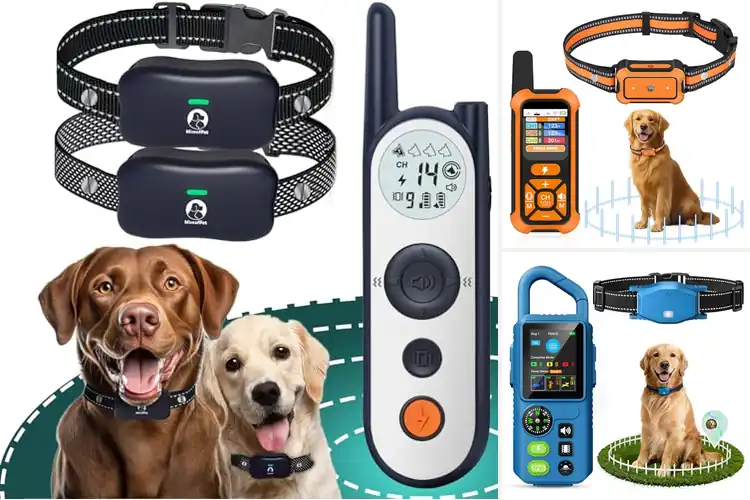 Detailed view of Best Dog Fence System For Homes