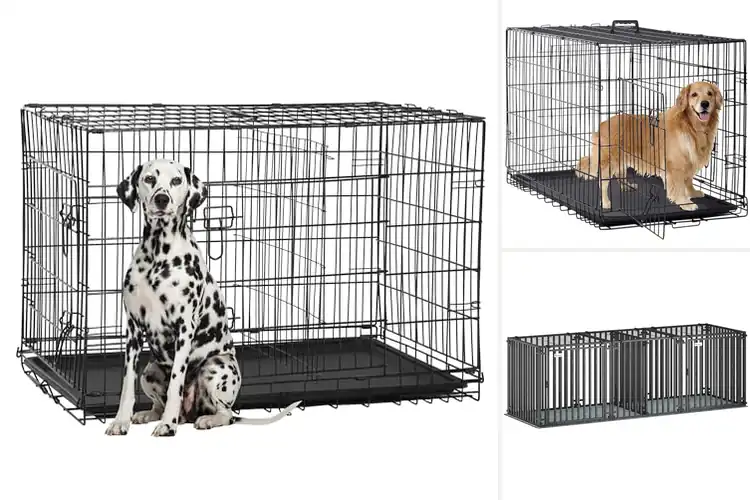 Detailed view of Best Dog Kennels for Large Dogs