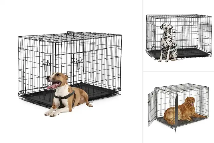 Detailed view of Best Double Door Dog Cages
