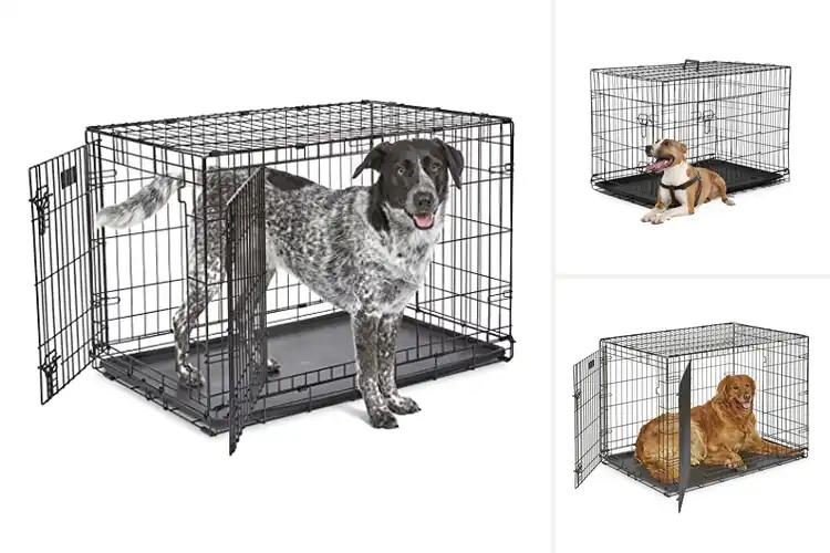 Detailed view of Best Double Door Dog Crates: Top Picks for Safety & Comfort