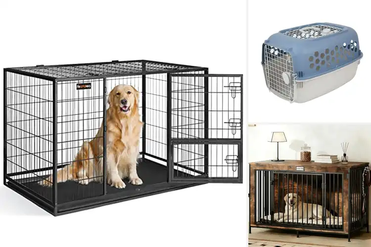 Detailed view of Best Double Door Dog Kennel With Top Door