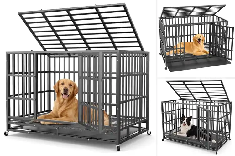 Detailed view of Best Durable Carbon Steel Dog Cages