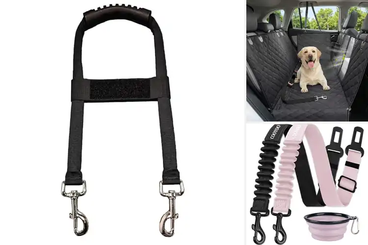 Detailed view of Best Durable Dog Accessories for Safe Adventures