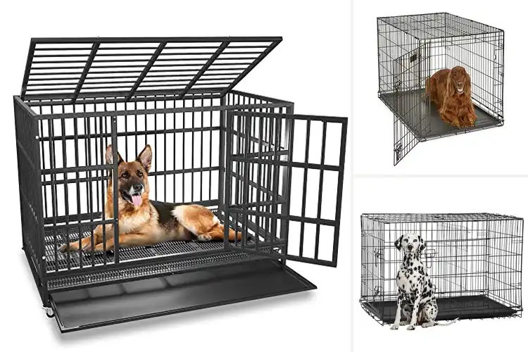 Detailed view of Best Durable Dog Cages