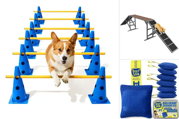 Detailed view of Best Durable Dog Training Equipment