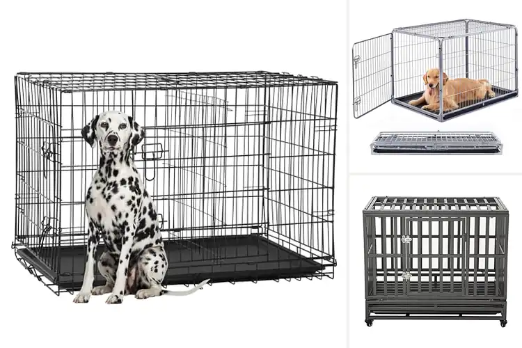 Detailed view of Best Easy Assembly Dog Cages