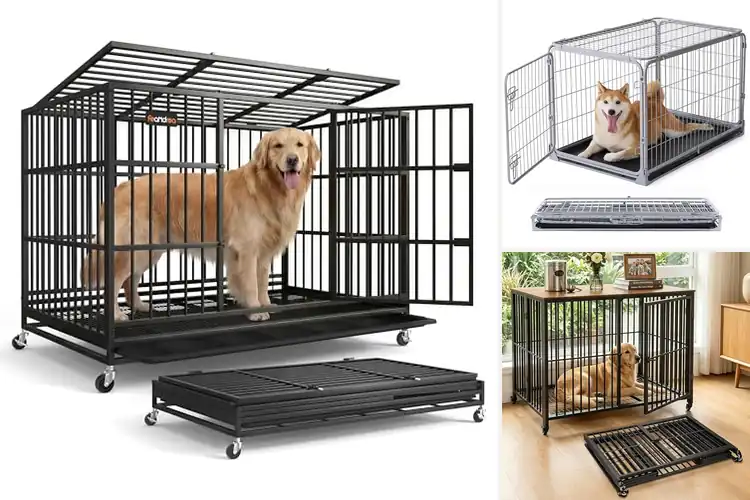 Detailed view of Best Easy Assembly Kennels: Quick Setup, Happy Pets