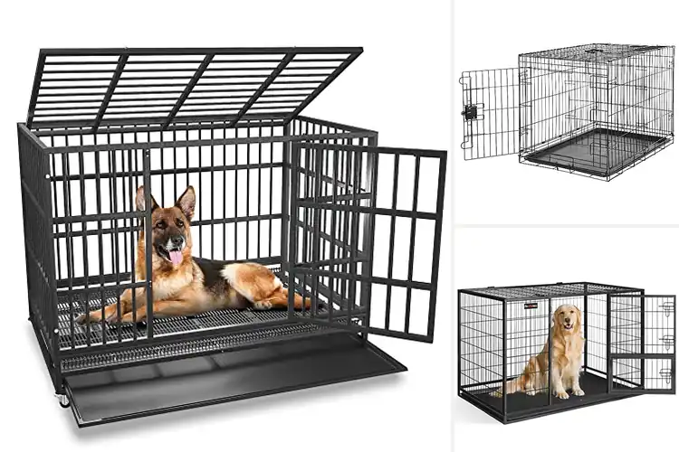 Detailed view of Best Easy Clean Dog Kennels