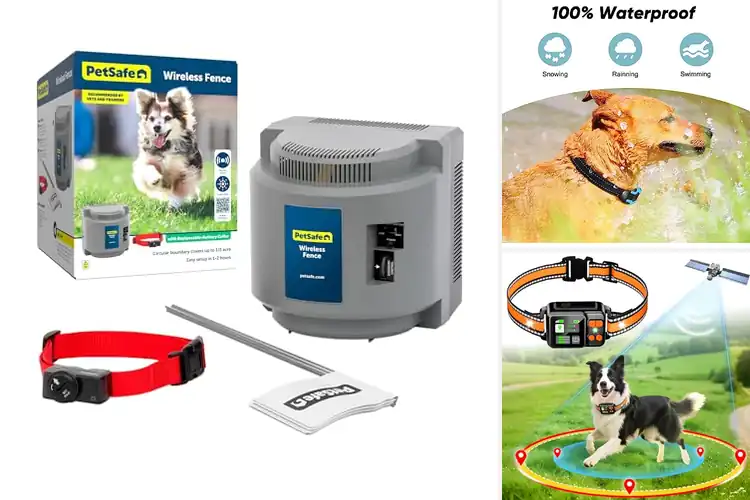 Detailed view of Best Electric Dog Fences