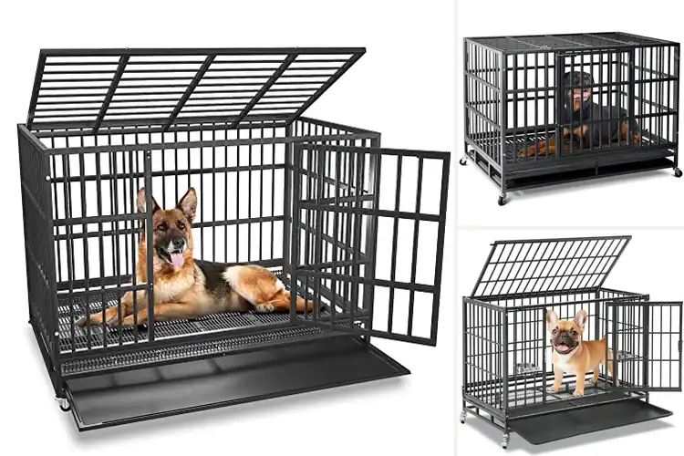 Detailed view of Best Escape Proof Dog Cages