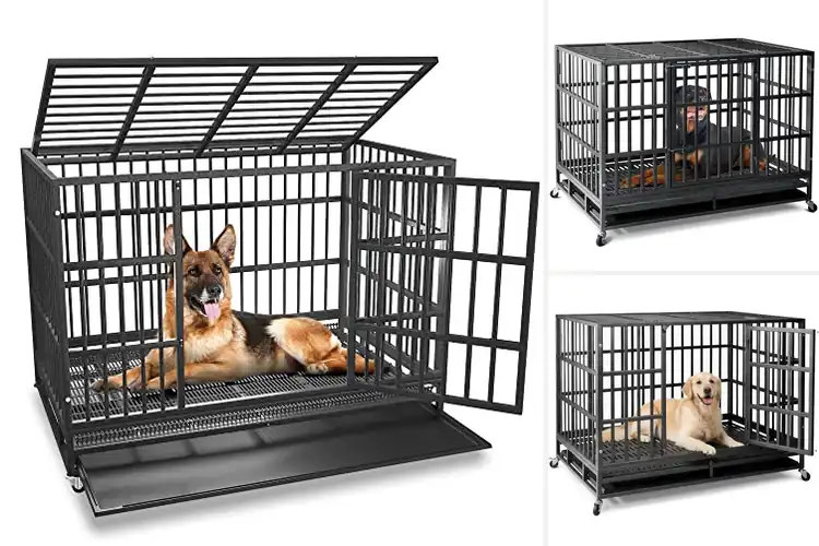 Detailed view of Best Escape Proof Dog Crates
