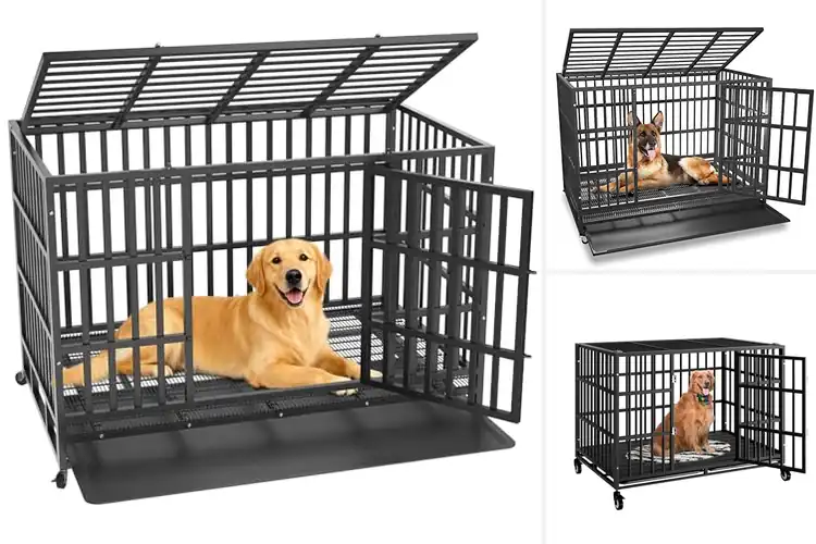 Detailed view of Best Escape-Proof Dog Kennel