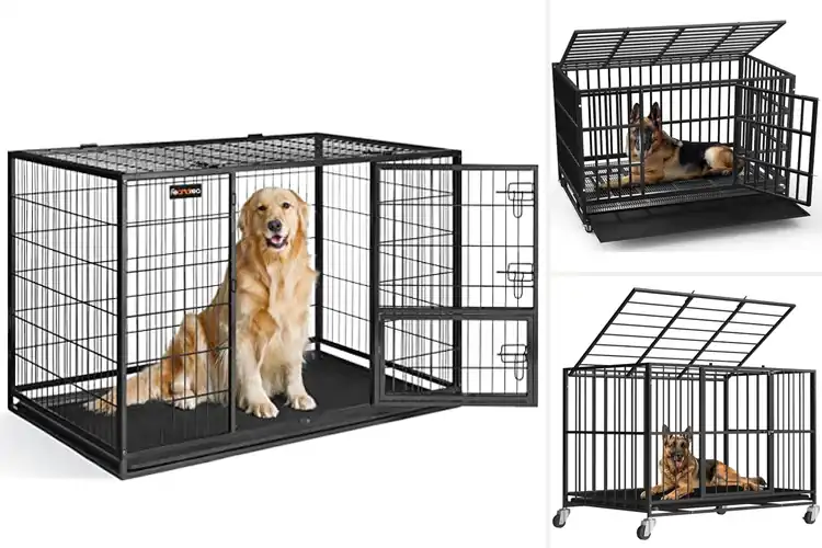 Detailed view of Best Escape Proof Dog Kennel With Double Doors