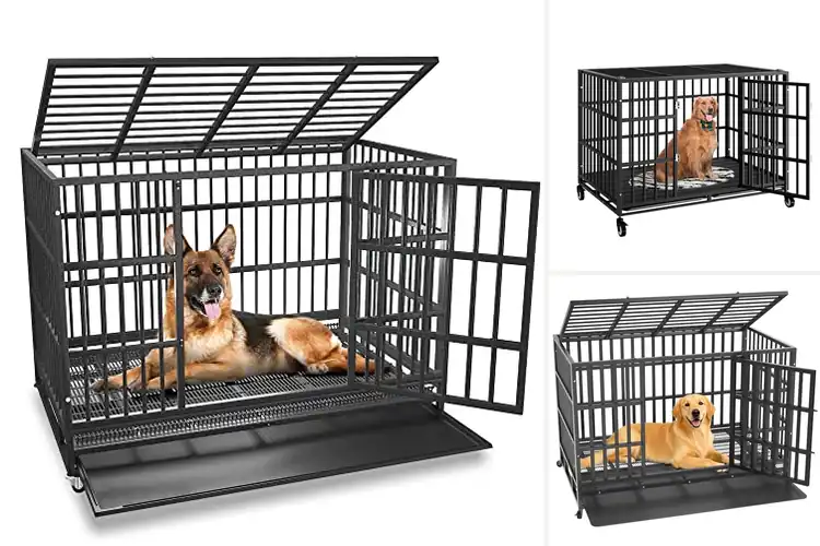 Detailed view of Best Escape-Proof Dog Kennels: Secure & Cozy Solutions