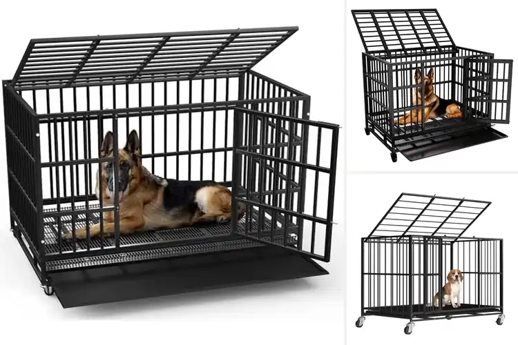 Detailed view of Best Escape-Proof Double Door Kennels