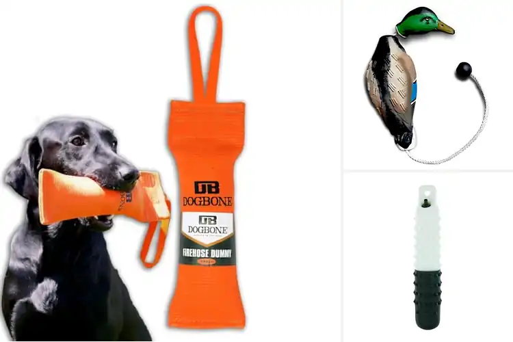 Detailed view of Best Floating Dog Dummies: 10 Fun & Training Picks