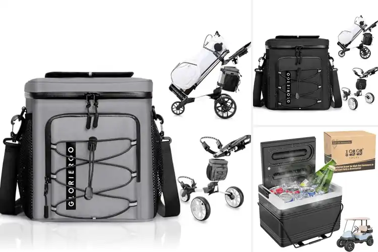 Detailed view of Best Golf Cooler Carts