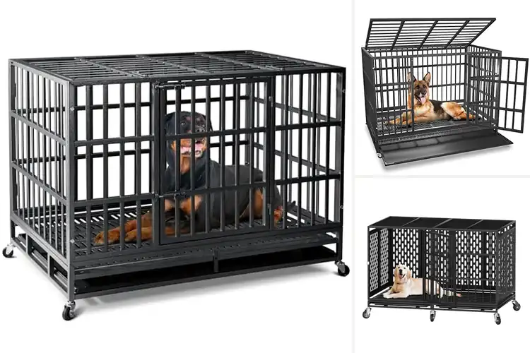 Detailed view of Best Heavy Duty Dog Cages: Top 10 Picks for Safety & Comfort