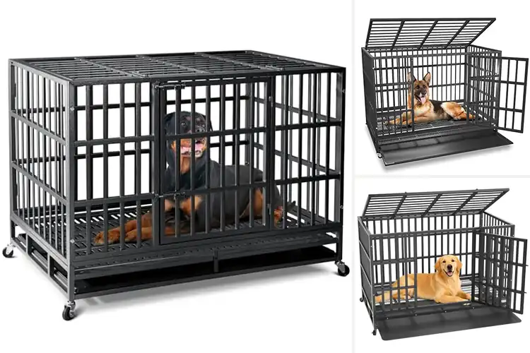 Detailed view of Best Heavy Duty Dog Crates For Large Dogs