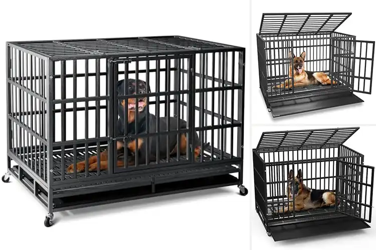Detailed view of Best Heavy Duty Dog Crates: Top 10 Durable & Safe Options
