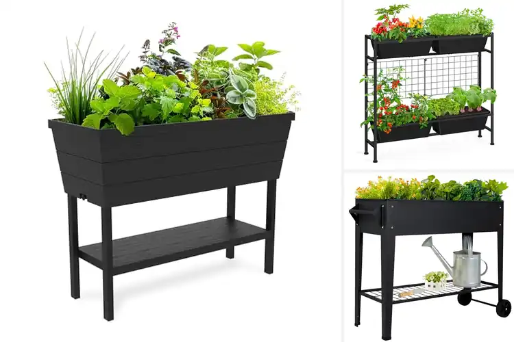Detailed view of Best Herb Beds: 10 Top Options for Fresh, Easy Gardening