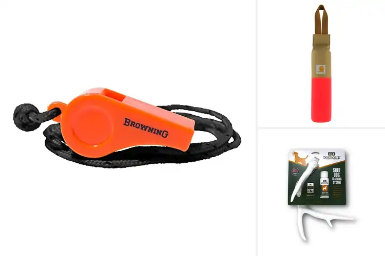 Detailed view of Best Hunting Dog Training Tools: Unleash Their Hunter