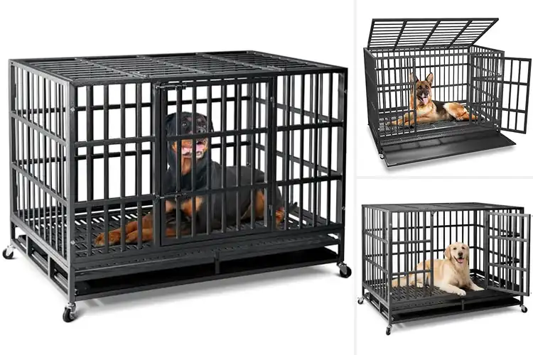 Detailed view of Best Indestructible Dog Crates