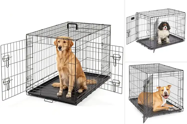 Detailed view of Best Indoor Dog Kennels: Top Picks for Happy, Safe Pets