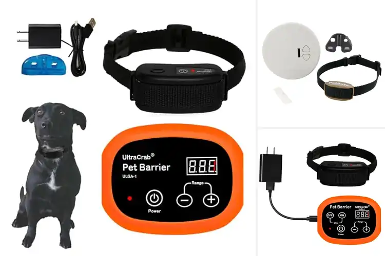 Detailed view of Best Indoor Wireless Dog Fences