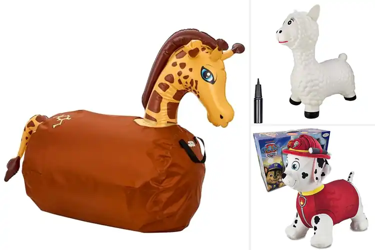 Detailed view of Best Inflatable Animal Hoppers