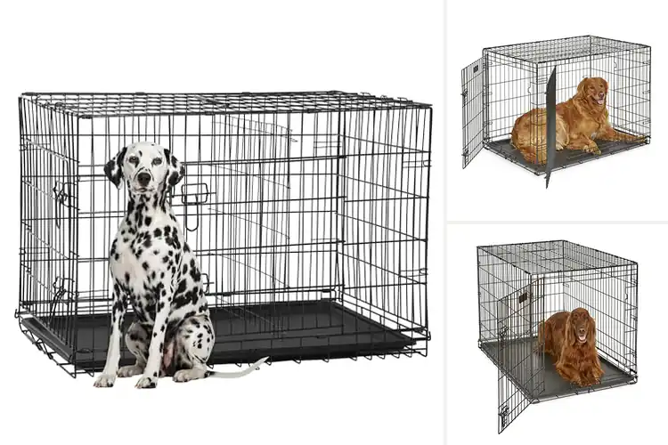 Detailed view of Best Large Dog Crates: Top 10 Safe & Cozy Picks for Your Pet