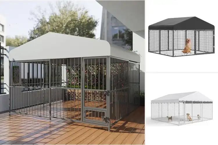 Detailed view of Best Large Dog Enclosures