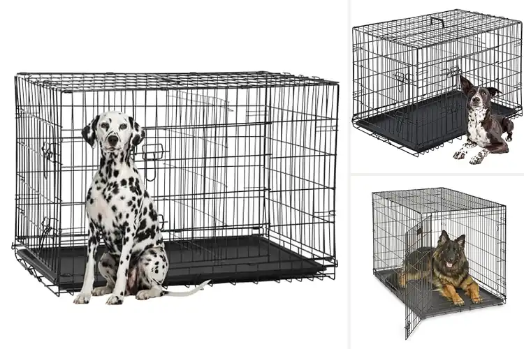 Detailed view of Best Large Dog Kennels: Top 10 Picks for Happy, Safe Pets