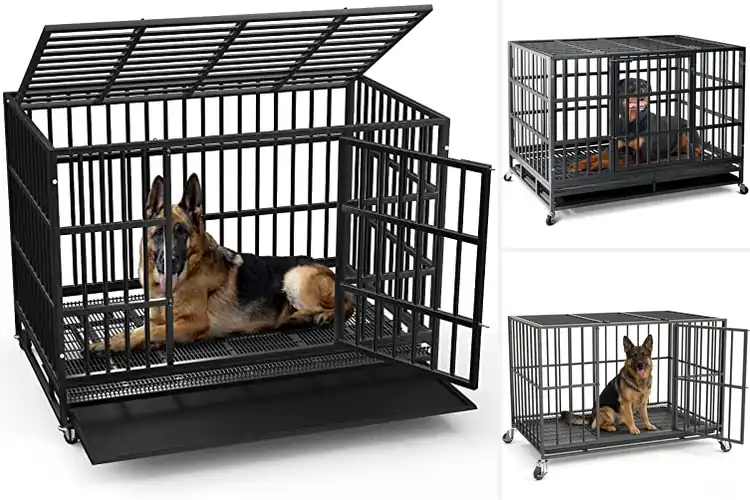 Detailed view of Best Lockable Dog Crates