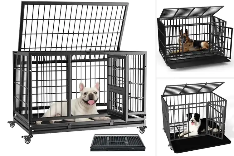Detailed view of Best Lockable Wheel Dog Crates