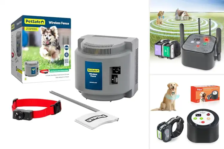 Detailed view of Best Low Power Dog Containment